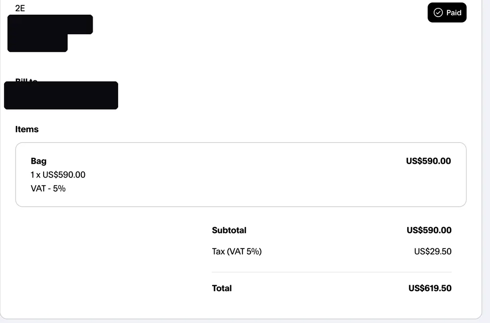 Paid invoice from an Instagram dropshipping client, total $619.50, client email hidden for privacy
