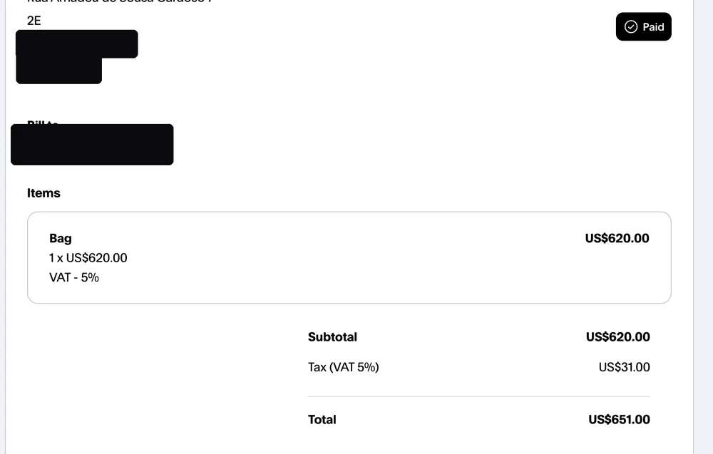 Paid invoice from an Instagram dropshipping client, total $651.00, client email hidden for privacy
