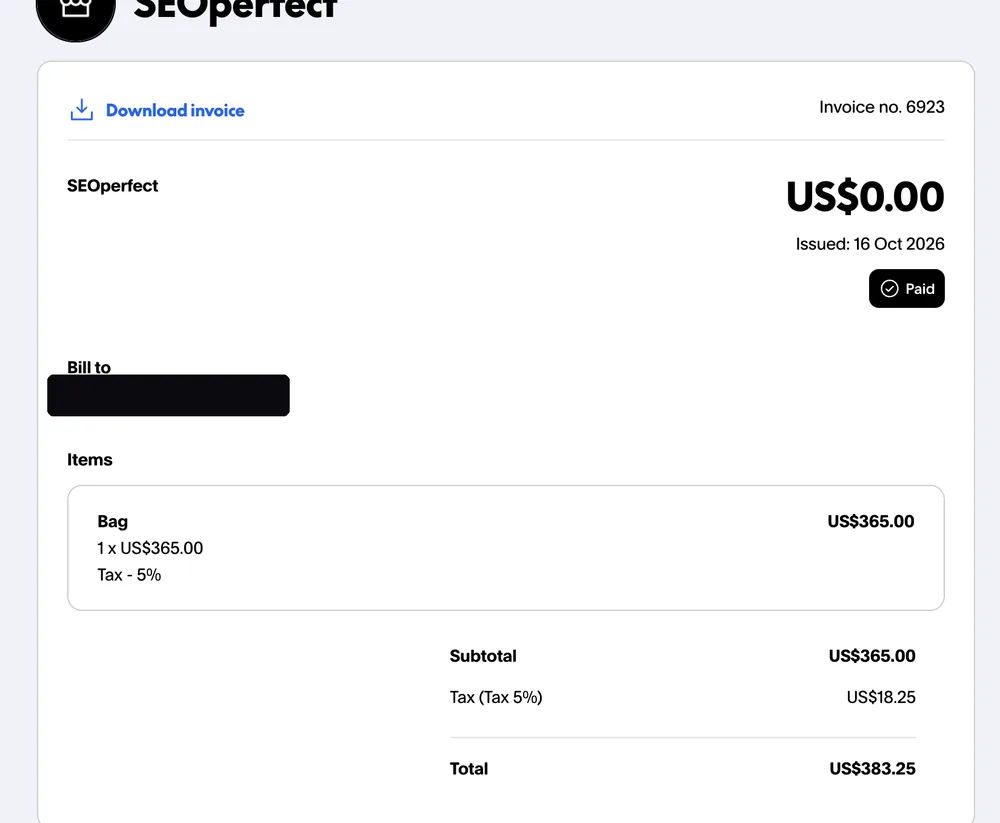 Paid invoice from an Instagram dropshipping client, total $383.25, client email hidden for privacy