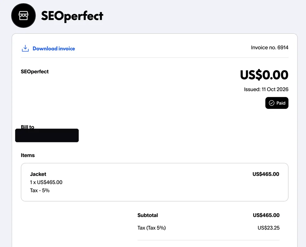 Paid invoice from an Instagram dropshipping client, client email hidden for privacy